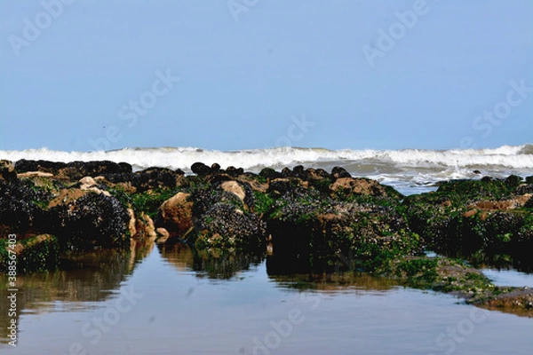 Fototapeta arrecifes