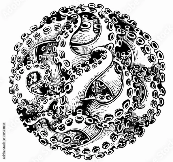Fototapeta Vector black and white illustration. Octopus tentacles are mixed in the shape of a circle.