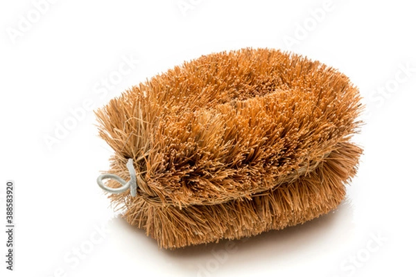 Fototapeta 亀の子タワシ