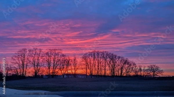 Obraz sunset in the forest