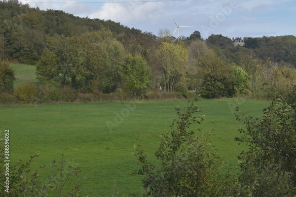 Obraz landscape with trees and grass