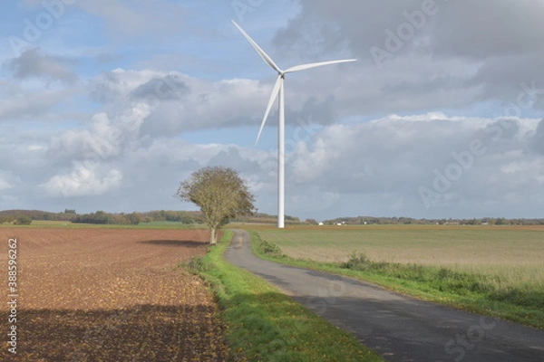 Obraz wind turbines and tree