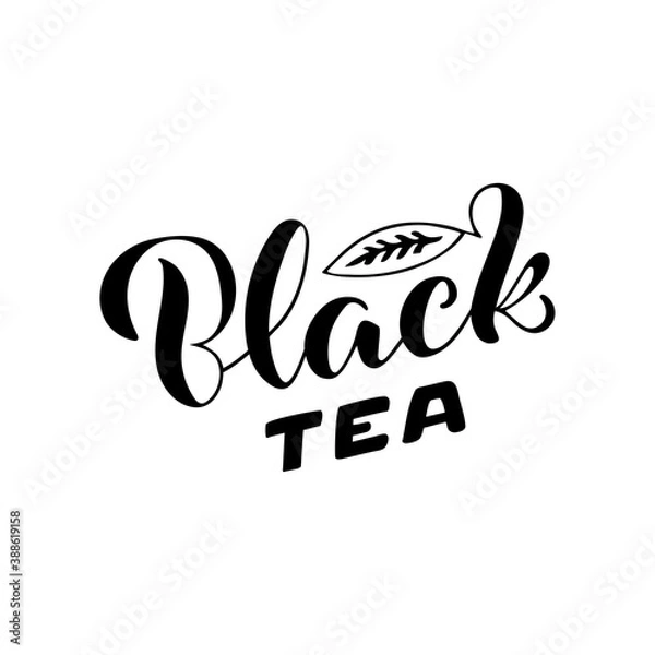 Fototapeta Vector illustration of black tea brush lettering for package, banner, flyer, poster, bistro, café, shop signage, advertisement design. Handwritten text for template, sign, billboard, print 
