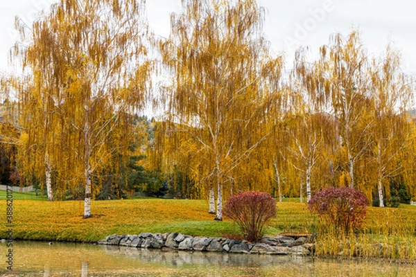 Obraz autumn landscape with trees