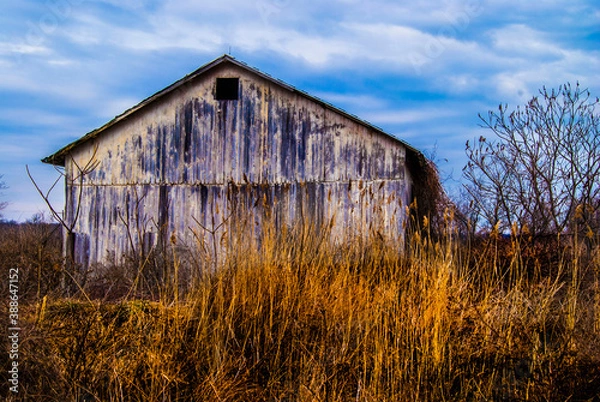 Obraz old barn in the field