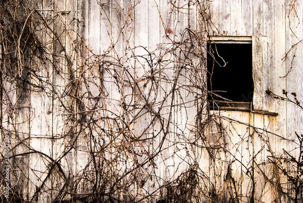 Obraz Barn Window