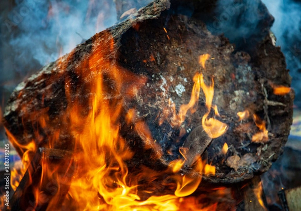 Obraz burning fire in the fireplace