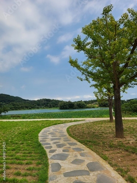 Obraz path in the garden