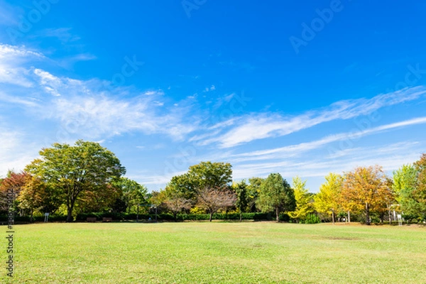 Obraz 秋色が深まる住宅街の公園