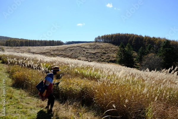 Obraz 自然の景色を眺めている女性