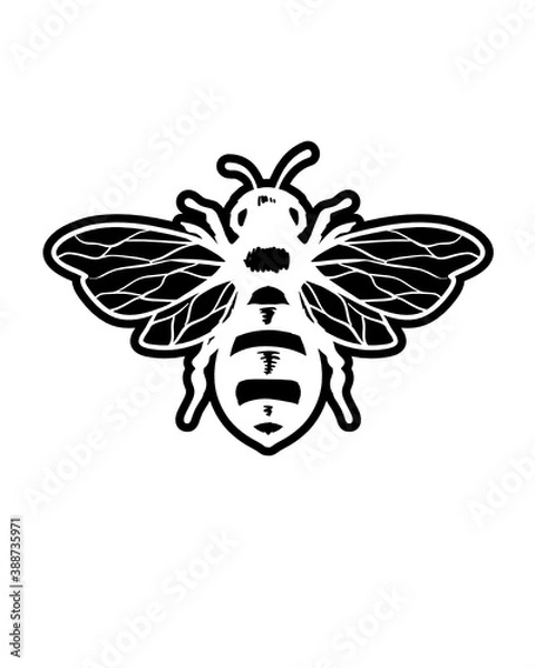 Fototapeta bee for black