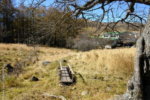 Obraz 野原にある小さな橋