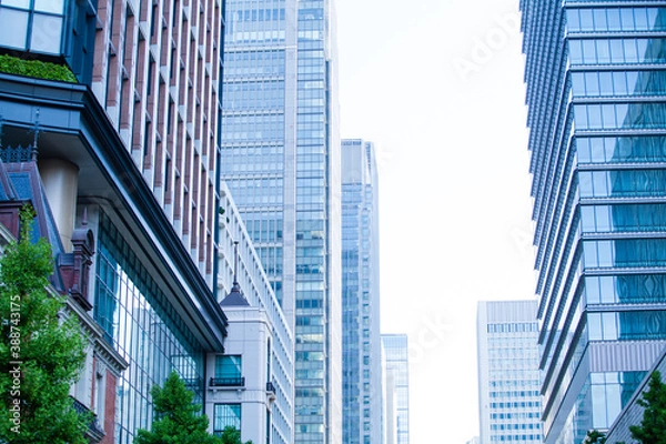 Fototapeta 丸の内のビル群