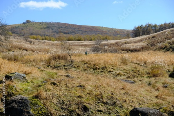 Obraz どこまでも広がる野原