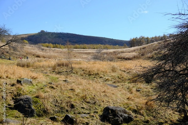 Obraz どこまでも広がる野原