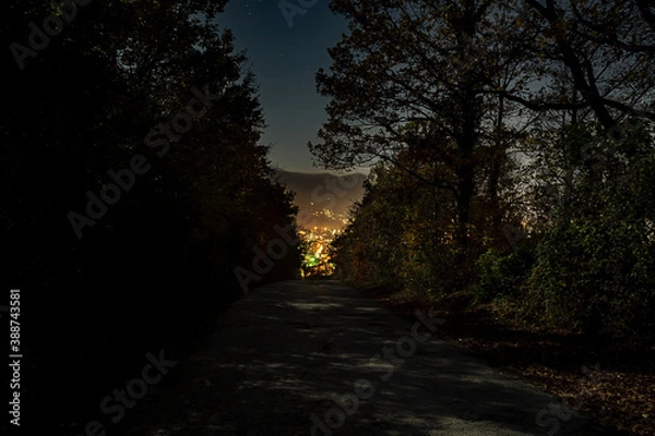 Fototapeta Nighttime cityscape 