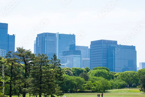 Fototapeta ビル群