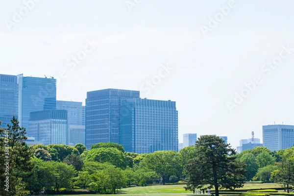 Fototapeta ビル群