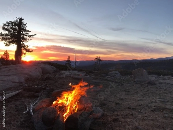 Obraz fire in the forest