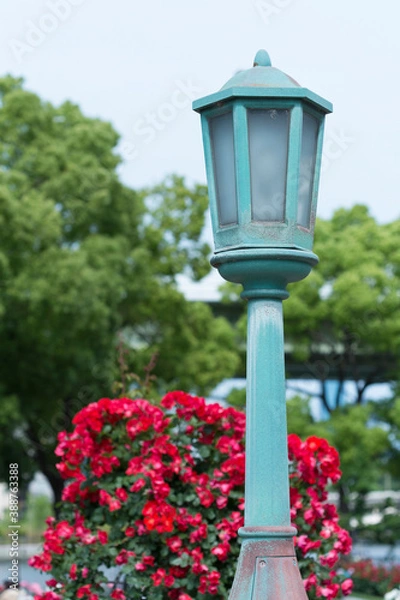 Obraz 赤いバラとランプ