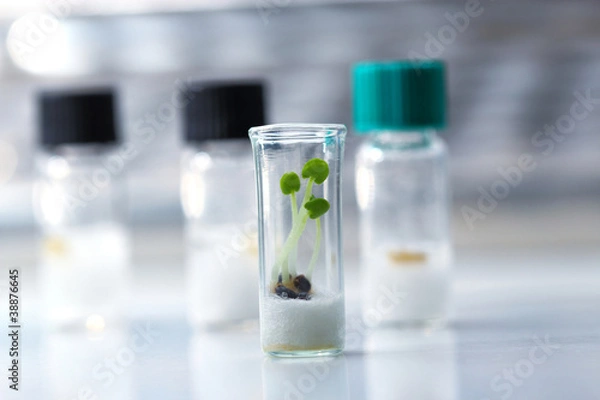 Obraz Biology research lab