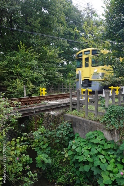 Fototapeta 玉川上水を渡る電車