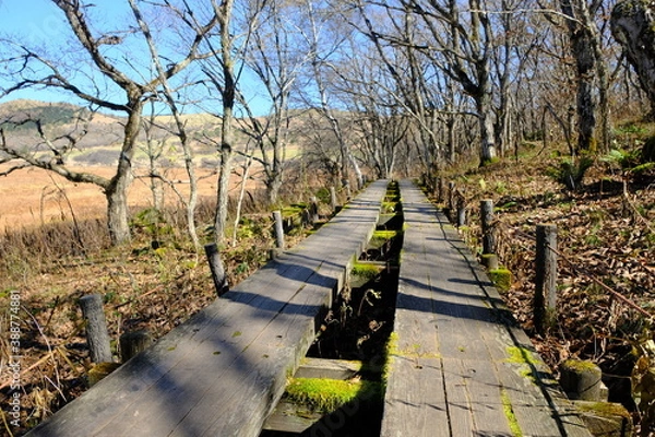 Obraz 永遠に続く歩道