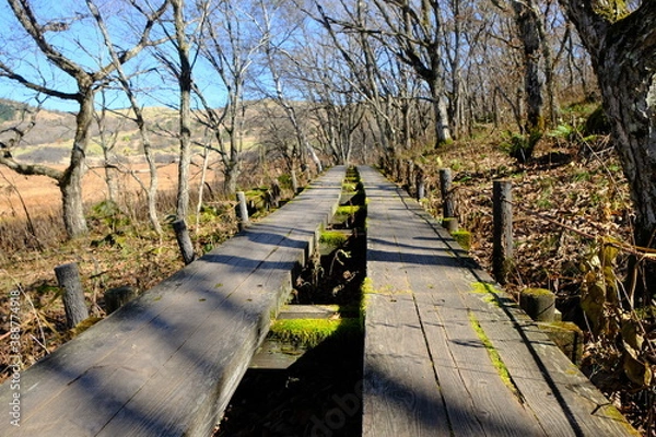 Obraz 永遠に続く歩道