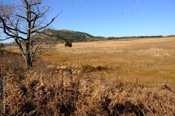 Obraz 広大な野原