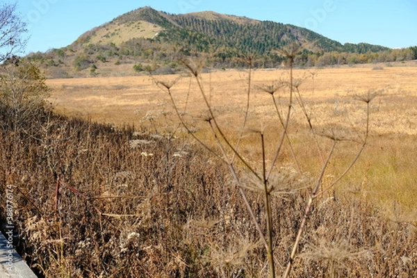 Obraz 自然の景色