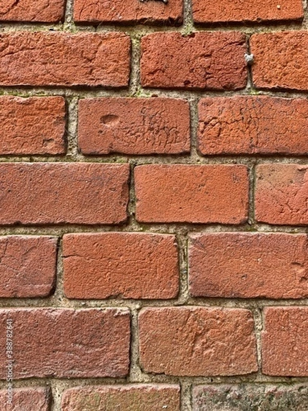 Fototapeta red brick wall