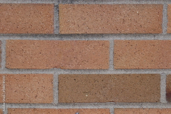 Fototapeta Front masonry, four rows of masonry