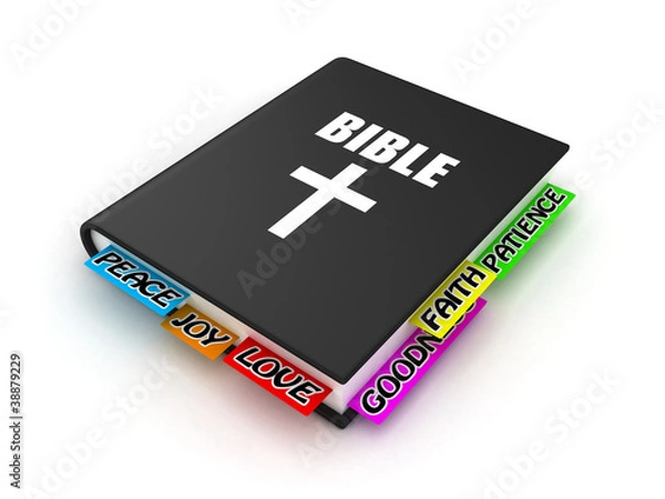 Obraz The Bible
