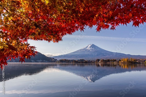 Obraz Fuji mountain and the red maple in autumn over Lake Kawaguchiko at beautiful sunrise , Yamanashi, Japan, Mount Fuji or Fujisan located on Honshu Island, is the highest mountain in Japan.