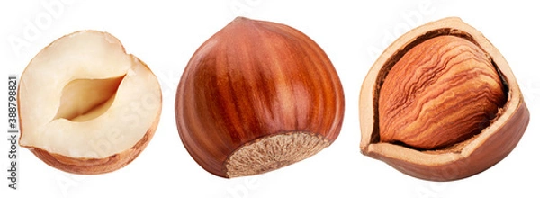 Obraz Set of hazelnuts isolated on white background