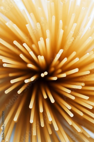 Obraz raw pasta as whole background