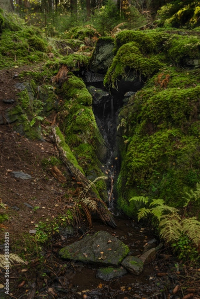 Fototapeta Waterfall near Utersky creek in deep forest in autumn color day