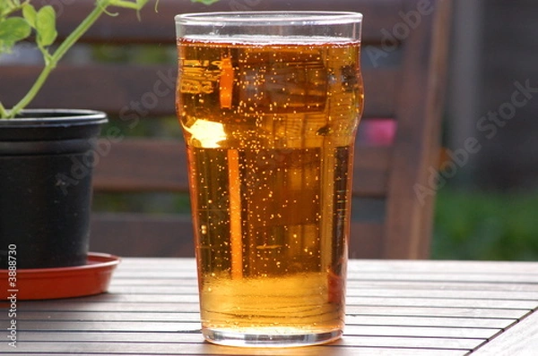 Obraz Cider Pint