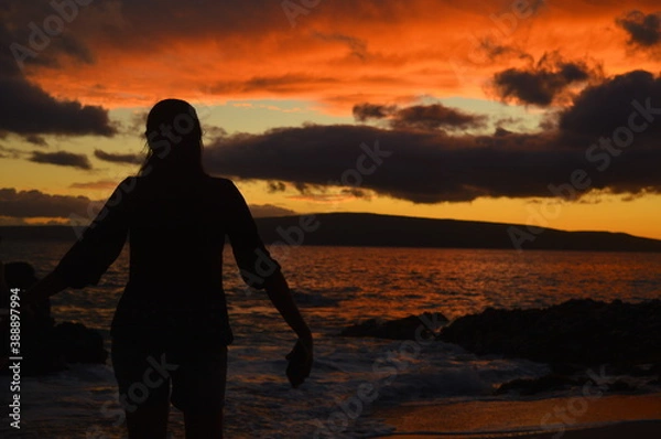 Obraz Hawaiian Sunset