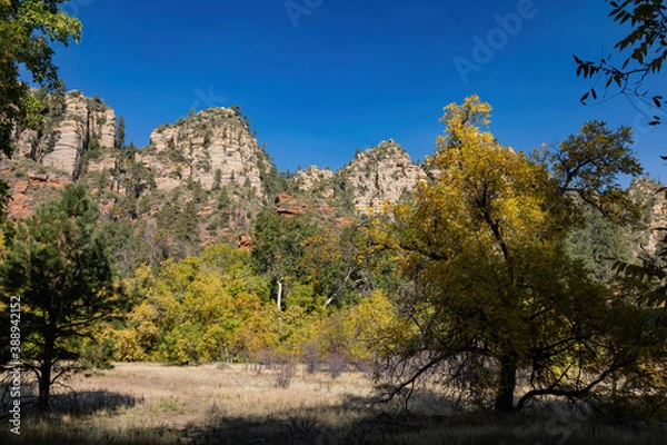 Obraz Beautiful fall color around West Fork hiking area