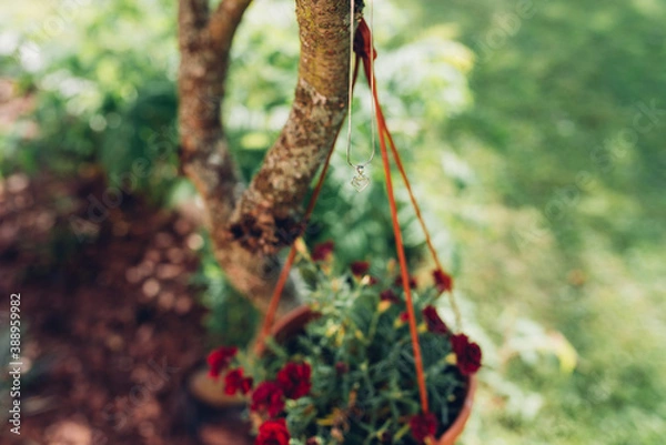 Obraz Złoty łańcuch na drzewie