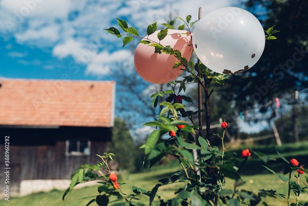 Obraz Balony pod niebem