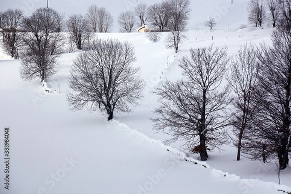 Fototapeta snow in spain