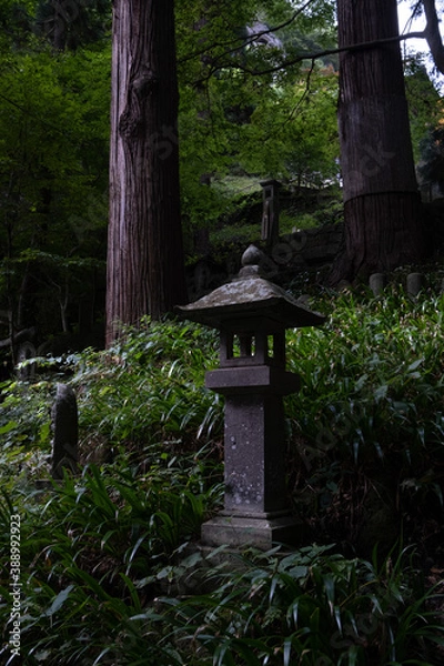 Fototapeta 神秘的な神社　出羽三山神社　羽黒山