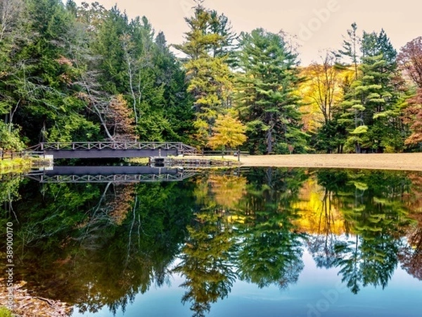 Obraz Fall Trees Reflecting in the Creek at Clear Creek State Park near Clarion, Pennsylvania With the yellow and orange showing in the very still water and a dock in the background.