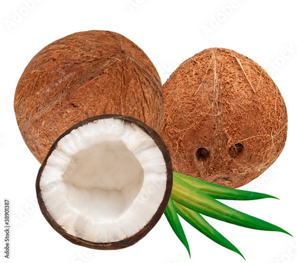 Fototapeta coconut isolated on white background