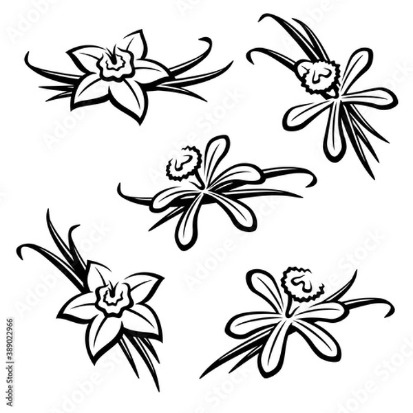 Obraz Vanilla set. Collection icon vanilla. Vector