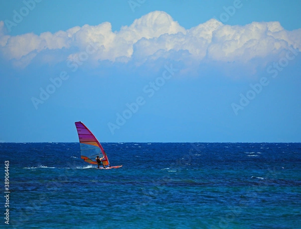 Obraz wind surfing