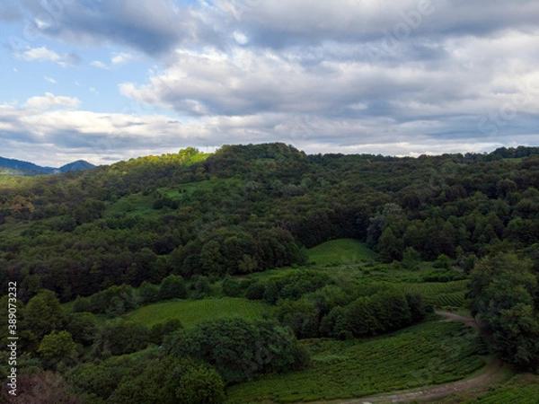 Fototapeta Aerial view over agricultural fields and road. Dark clouds in the sky