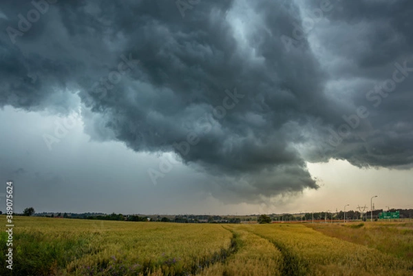 Fototapeta Giant cumulonimbus over fields in Poland. Cumulonimbus arcus and visible rain streaks.